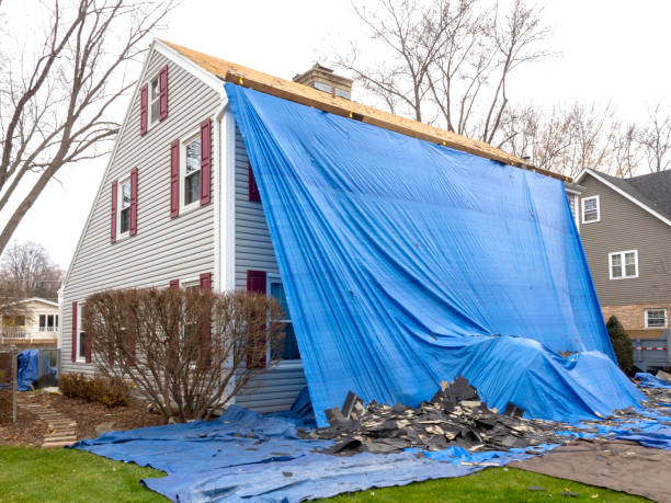 Best Junk Removal for Events  in Geneseo, IL